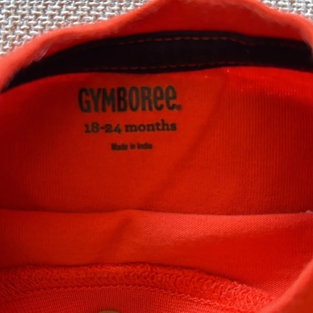 Gymboree long sleeve graphic tee Size 18-24m